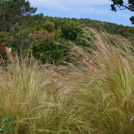 Les Jardins De Santa Giulia - Charmante Dhte 3*
