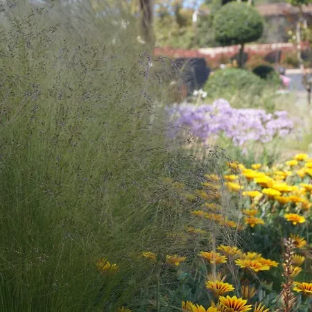 Les Jardins De Santa Giulia - Charmante Dhte Konukevi Porto-Vecchio (Corsica)