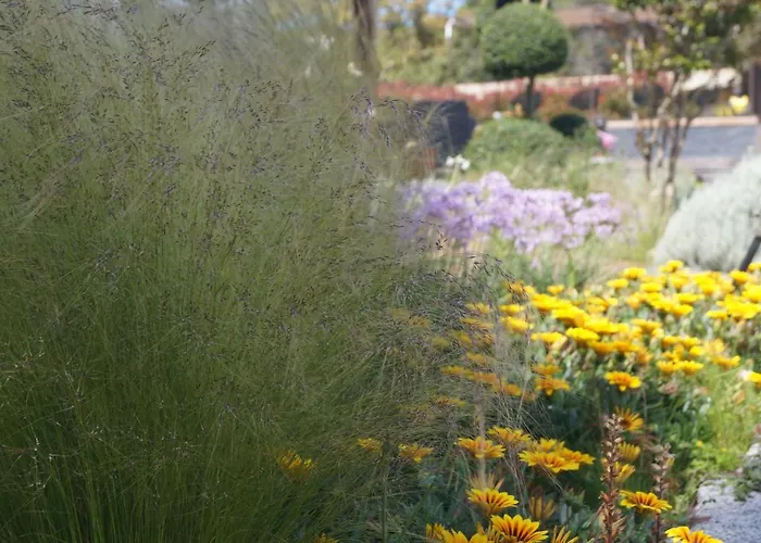 Les Jardins De Santa Giulia - Charmante Dhte Penzion Porto-Vecchio (Corsica)