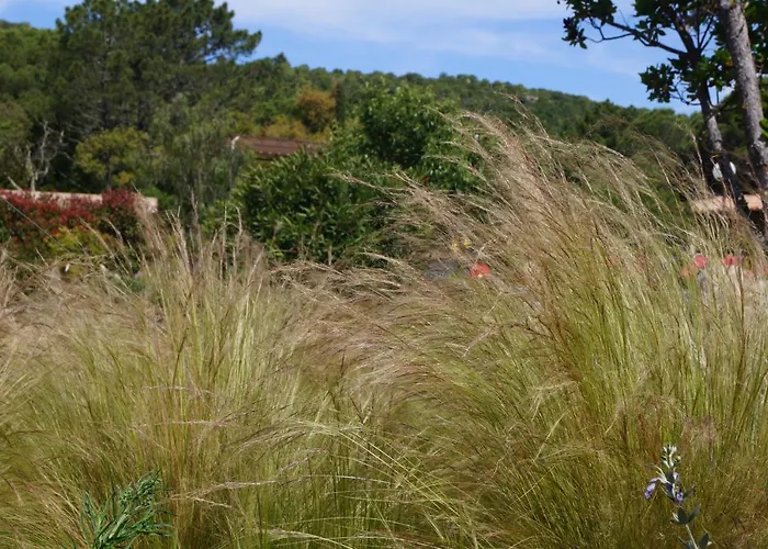 Les Jardins De Santa Giulia - Charmante Dhte 3*